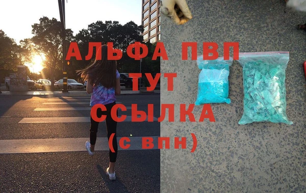 ГАЛЛЮЦИНОГЕННЫЕ ГРИБЫ Вязники