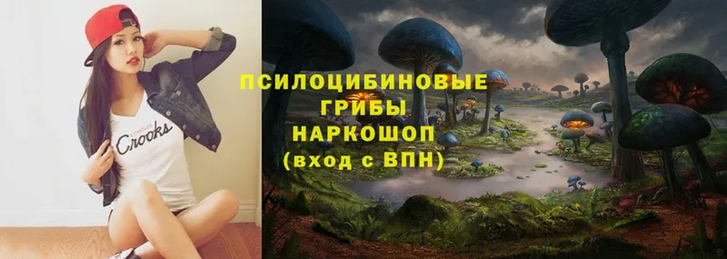 Галлюциногенные грибы MAGIC MUSHROOMS  omg вход  Анапа  мориарти телеграм  купить наркотики цена 